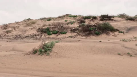 Side wide view of car drive on Road in desert during sand. Stock Footage 238627619
