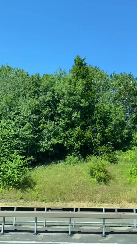 Side Window View of British Motorways Drive From Luton to Oxford Stock Footage 313702826