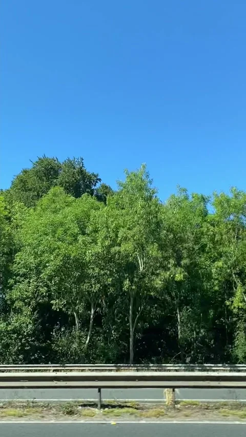 Side Window View of British Motorways Drive From Luton to Oxford Stock Footage 313703007