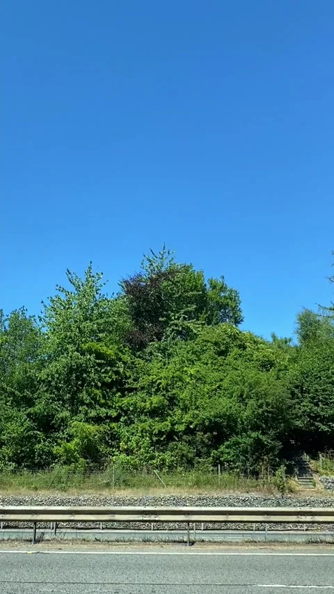 Side Window View of British Motorways Drive From Luton to Oxford Stock Footage 313703429