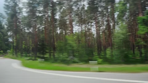 Side window view of tall pines in coniferous forest, passenger seat of car van Stock Footage 253472041