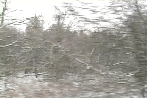 Side window view of woods and farm land during drive Stock Footage