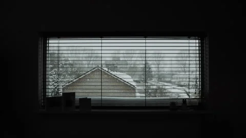 Side Window Winter View Stock Footage 148102158