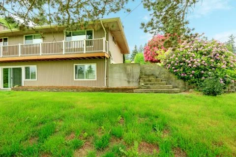 Side yard with blooming bushes Stock Photos