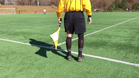 Sideline soccer referee with a flag Stock Footage 67039717