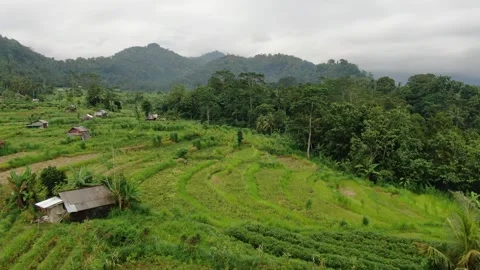 Sidemen nature &amp; fields view Stock Footage 303574242