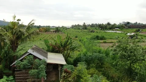 Sidemen nature fields views workshop Stock Footage 303574283