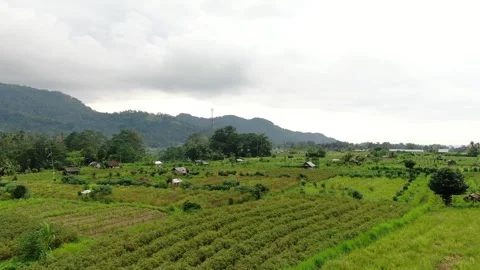Sidemen nature views fields 库存影片 303574372