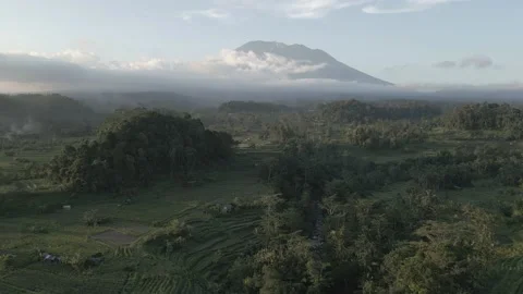 Sidemen rice fields Mt. Agung -ungraded 스톡 동영상 201062405