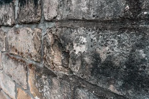 Sideview of the brick wall. Stock Photos