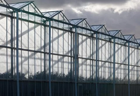 Sideview of a greenhouse with a cloudy sky Stock Photos