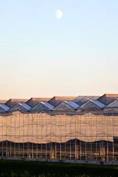 Sideview of a greenhouse in the evening Fotos Stock