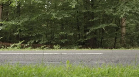 Sideview on Road in Forest Stock Footage 47826739