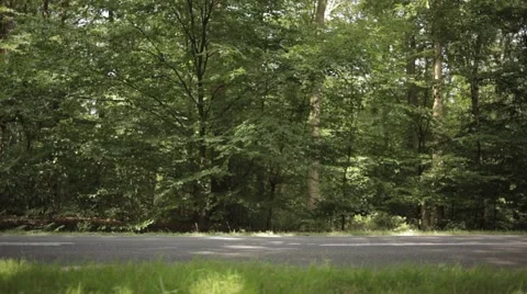 Sideview on Road in Forest Stock Footage 47829184