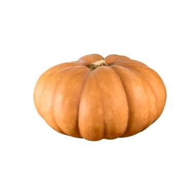 Sideview of single pumpkin isolated in white background. Stock Photos
