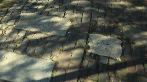 Sidewalk 2 Stock Footage 163925800
