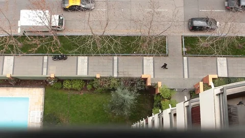 Sidewalk aerial view Video stock 77052498