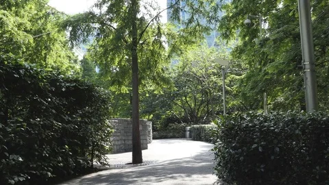 Sidewalk among bushes and trees. Stock Footage 77725057