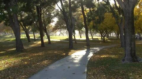 SIDEWALK AND TREES IN PARK Stock Footage 39222055