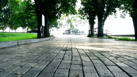 Sidewalk animal view. Stock Footage 100251005
