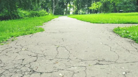 Sidewalk animal view. Stock Footage 100251187