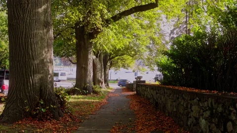 Sidewalk With Busy Street Stock Footage 196741259