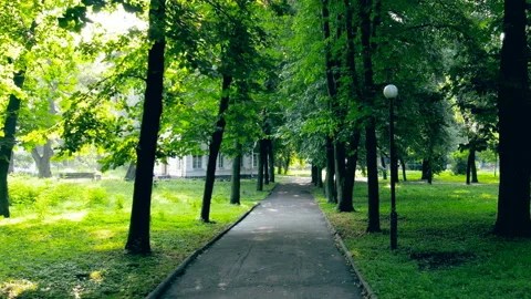 Sidewalk camera fly. Stock Footage 101243345