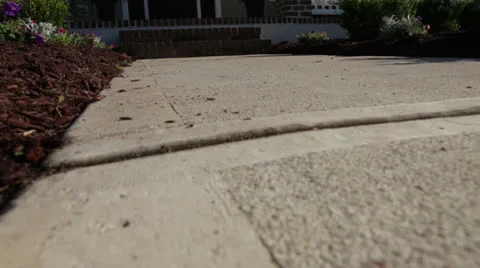Sidewalk entrance, bug crawling, static Video stock 25912901