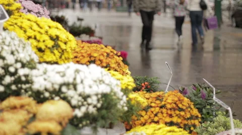 Sidewalk flower vendor Stock Footage 63292246
