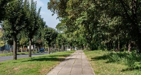 Sidewalk going through park in suburban area of western Poland Foto stock