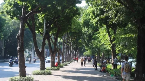 Sidewalk in Hanoi 库存影片 231651314