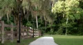 sidewalk light posts oak tree spanish moss HD 동영상
