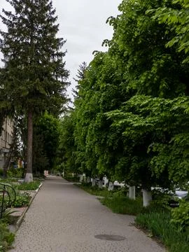 A sidewalk lined with trees in a park next to a sidewalk Stock Photos