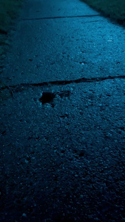 Sidewalk at night Stock Footage 279520532