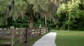 sidewalk oak tree spanish moss light posts Vidéos HD