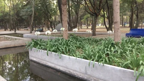 Sidewalk in the park 스톡 동영상 85583300