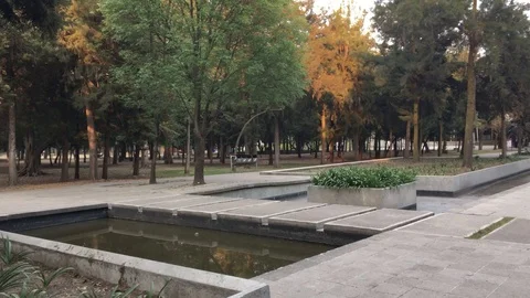 Sidewalk in the park Stock Footage 85583466