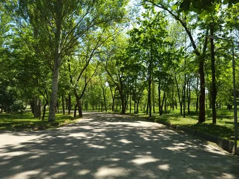 Sidewalk in the park Stock Photos