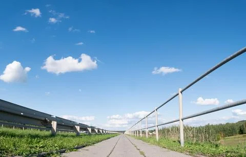 Sidewalk path around greenery in suburban areas in summer Фото