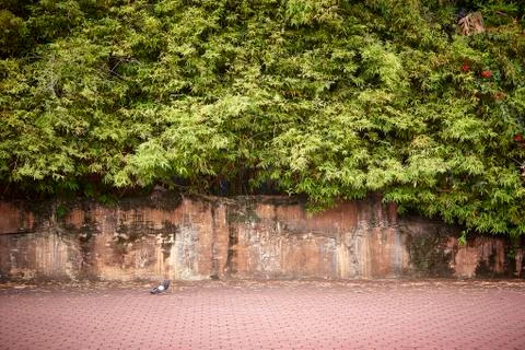 Sidewalk pavement 库存照片