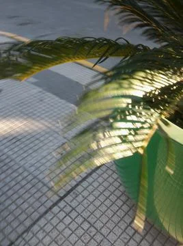 Sidewalk with plants background with different elements in space in close up  Fotos Stock