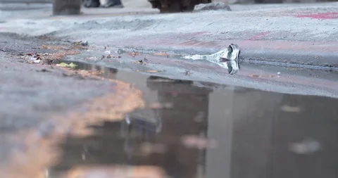 Sidewalk Puddle - People Walking in Reflection - 4K Stock Footage 116848585