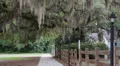 sidewalk spanish moss lamppost sidewalk HD 동영상
