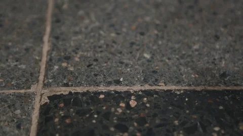 Sidewalk stone Stock Footage 77048782