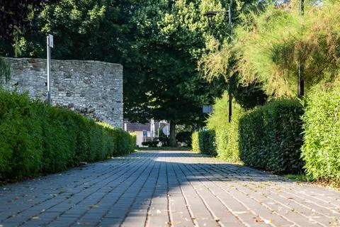 Sidewalk stretching through park in summer season in suburban areas Foto stock