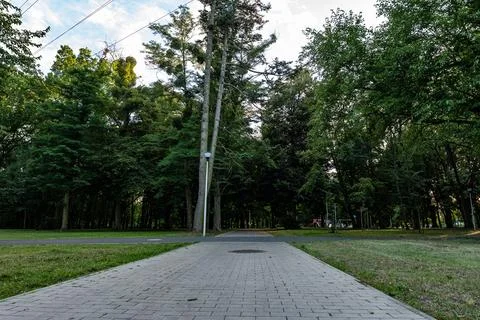 Sidewalk stretching through park in summer season Foto stock