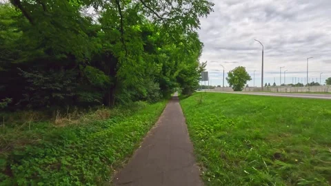 Sidewalk through mixed greenery beside suburban street Stock Footage 314883254