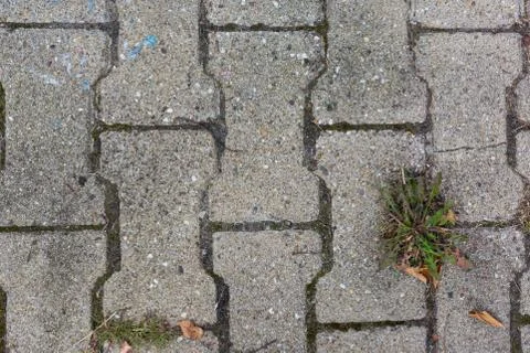 Sidewalk Tile Concrete Stone Rough Grey Texture Weed Outdoors Stock Photos
