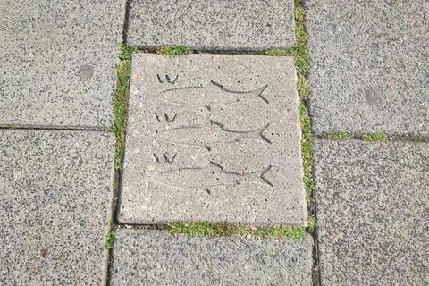 Sidewalk tile with three fish Stock Photos