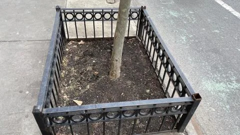 Sidewalk tree containers Stock-Fotos